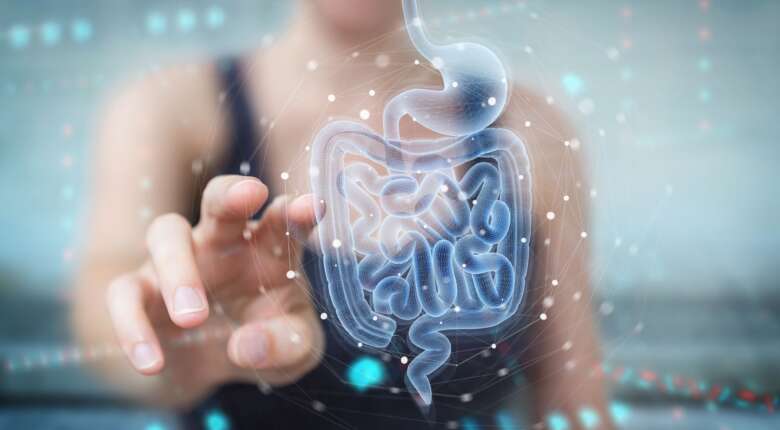 I Probiotici e il loro meccanismo d'azione - Immagine in evidenza
